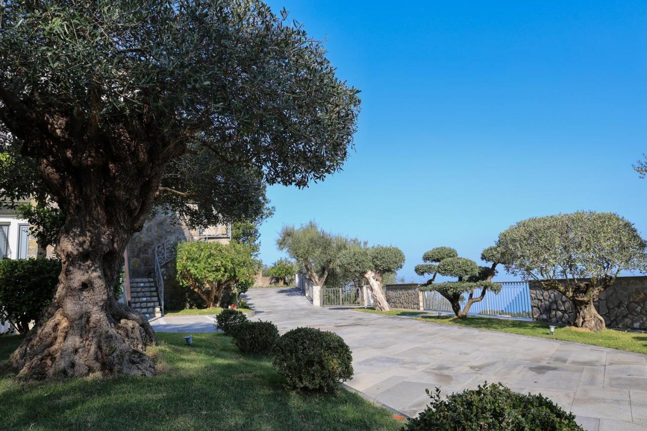 Villa Italia Sorrento Termini Exterior foto